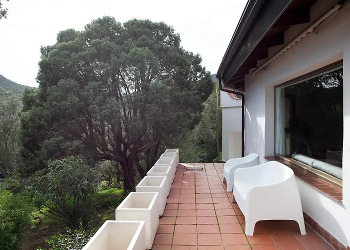 1973 Poggio dei Pini